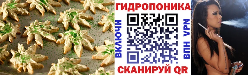 Cannafood конопля Оса