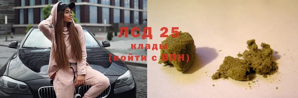 спиды Магас