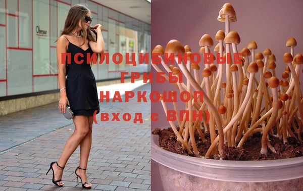 амф Лихославль