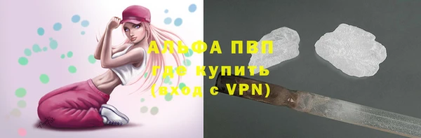 спиды Магас