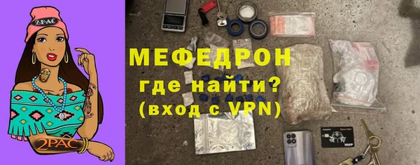 хмурый Тайга